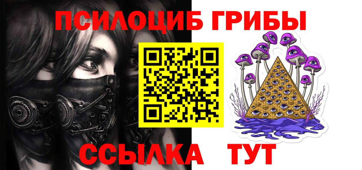 Галлюциногенные грибы GOLDEN TEACHER Чайковский