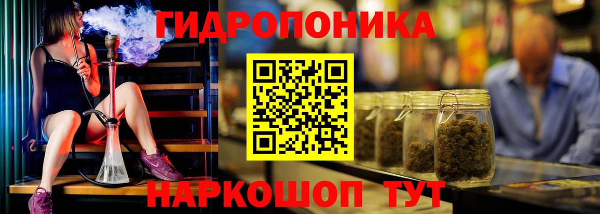 Шишки марихуана гибрид Чайковский